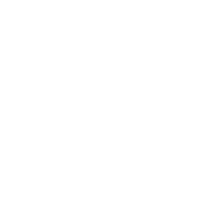 WordPress Logo Weiß