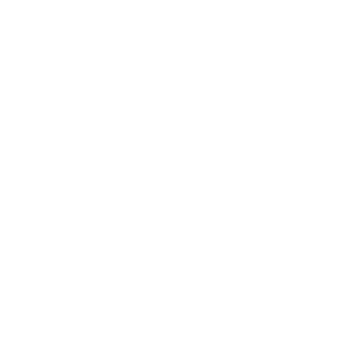 WordPress Logo Weiß
